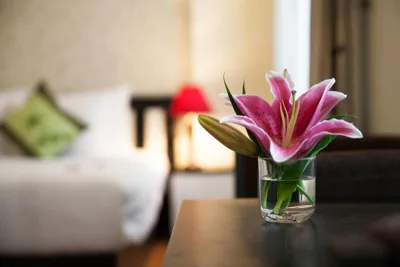 Serenity Villa Hotel – Photos 15